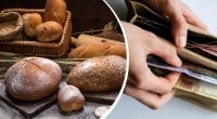 Навіть суперврожай не врятує: в Україні сильно подорожчає головний продукт