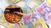 Ціна впала до 4 гривень: вартість базового продукту летить у прірву