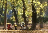 В Україну йде справжнє потепління: які регіони розігріє до +20 градусів