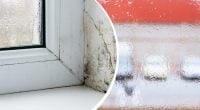Як позбутися вогкості та конденсату на вікнах: прості поради, які дійсно працюють