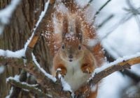 Температура впаде до -5 градусів: якою буде погода в перші дні грудня