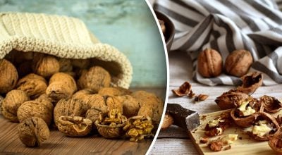 грецкие орехи грецкие орехи