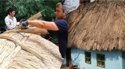 Дешево і геніально: чому українці обрали солому, а не дерево