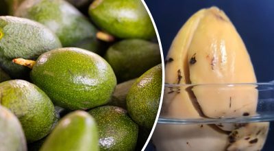 Дуже просто і швидко: як виростити авокадо з кісточки в домашніх умовах