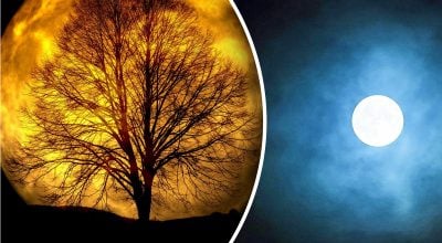 На Місяці відбулись два яскраві спалахи - що відбувається і чи є загроза