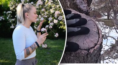 Як продовжити життя старому дереву: поради досвідчених садівників