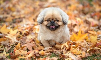 В Україну мчить різке похолодання: названа дата, коли погода остаточно зіпсується