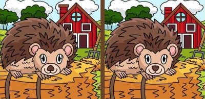 головоломка