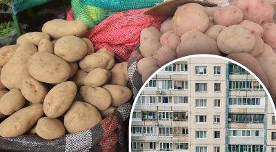 Покладіть це на картоплю: простий спосіб зберегти овоч на балконі до весни