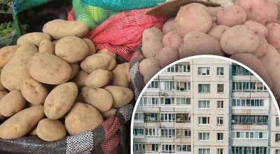 Покладіть це на картоплю: простий спосіб зберегти овоч на балконі до весни Покладіть це на картоплю: простий спосіб зберегти овоч на балконі до весни