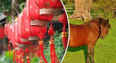 Китайський гороскоп на 2026 рік