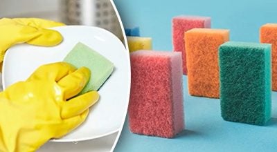 Що означають кольори губок для посуду Що означають кольори губок для посуду