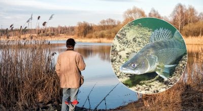 Чоловік навіть не мріяв про такого трофея: рибалка спіймав "річкового монстра"