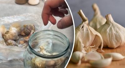 Як можна довго зберігати часник на кухні: хитрий трюк з сіллю