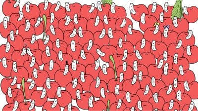 Головоломка для людей з орлиним оком: знайдіть вишню без черв'яка за 30 секунд