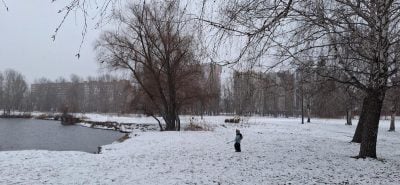 Влупить 5-градусний мороз та почнуться снігопади: названа дата різкого похолодання