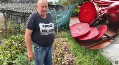 Не зогниє та не зморщиться: як зберігати буряк хрумким та соковитим до квітня