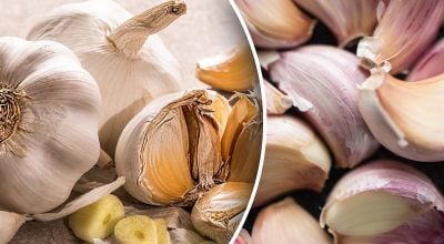 Про це знають одиниці: чому часник не пахне до нарізання