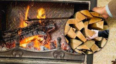 Якими дровами найвигідніше опалювати будинок у 2025 році: це не дуб