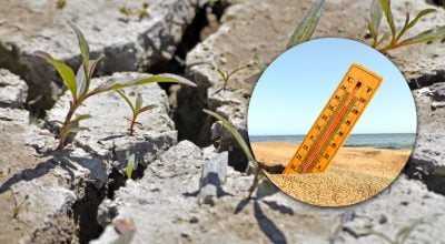 Україна перетвориться на суцільні степи і пустелі: вчений попередив про зміни клімату