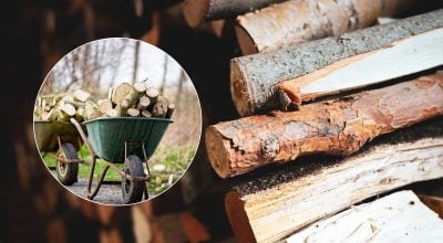 Чи можна опалювати будинок торішніми дровами: яка їх придатність