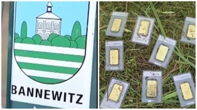 Золотий шок: муніципальний працівник відкопав скарб, про який ніхто не підозрював