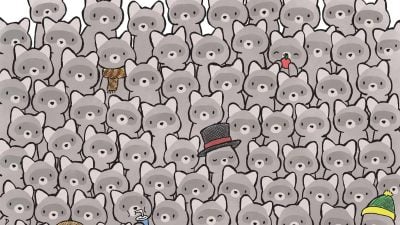 Головоломка для справжніх геніїв: знайдіть кота серед єнотів за 15 секунд