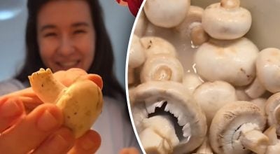 шампиньоны