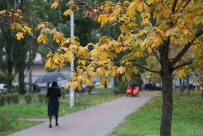 погода, осень