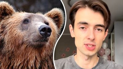 "Ведмідь" чи "медвідь": блогер назвав популярну помилку українців