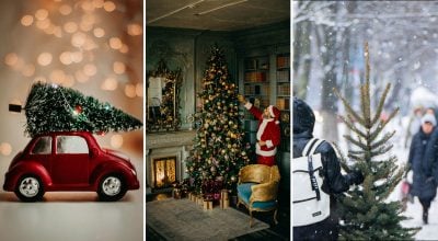 Ялинка, Новий рік 