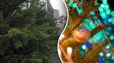 Експерти попередили про приховану небезпеку від новорічних ялинок - що сталось Експерти попередили про приховану небезпеку від новорічних ялинок - що сталось