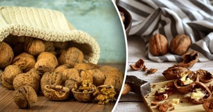 Як розколоти волоські горіхи так, щоб половинки залишилися цілими: хитрі способи
