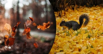 Чому 7 листопада не можна працювати допізна: яке церковне свято