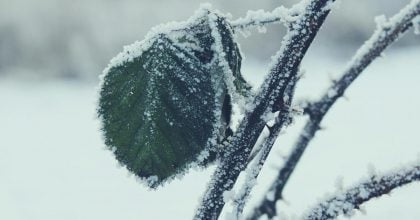 Влупить -4 градуси: названо регіони, де буде мороз