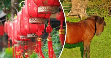 Китайский гороскоп на 2026 год Красного Огненного Коня: прогноз для всех знаков