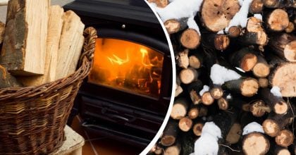 Сирі дрова горітимуть, як сухі: простий спосіб, який завжди працює