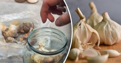 Як можна довго зберігати часник на кухні: хитрий трюк з сіллю