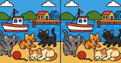 Тест на IQ: знайдіть 3 відмінності на картинках кішок, що грають, за 23 секунди