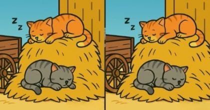 Тест на IQ: знайдіть 3 відмінності на картинках котів на копиці сіна за 29 сек