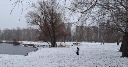 Влупить 5-градусний мороз та почнуться снігопади: названа дата різкого похолодання