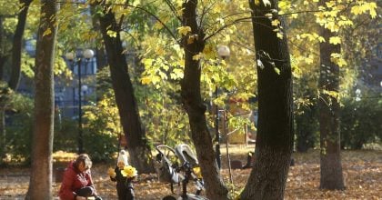 В Україну йде справжнє потепління: які регіони розігріє до +20 градусів