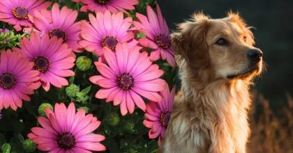 Китайский гороскоп на завтра 22 ноября: Кроликам - зависть, Собакам - обман