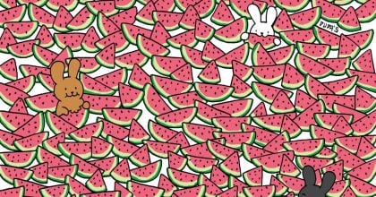 Складний тест на IQ для геніїв: знайдіть п’ять кавунів без кісточок за 15 секунд