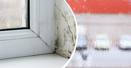 Як позбутися вогкості та конденсату на вікнах: прості поради, які дійсно працюють