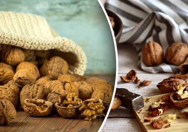 Как расколоть грецкие орехи так, чтобы половинки остались целыми: хитрые способы