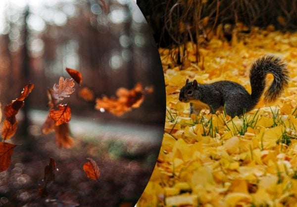 Чому 7 листопада не можна працювати допізна: яке церковне свято