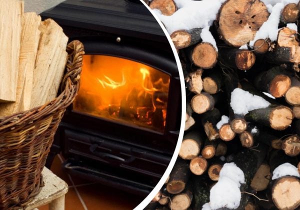 Сырые дрова будут гореть, как сухие: простой способ, который всегда работает