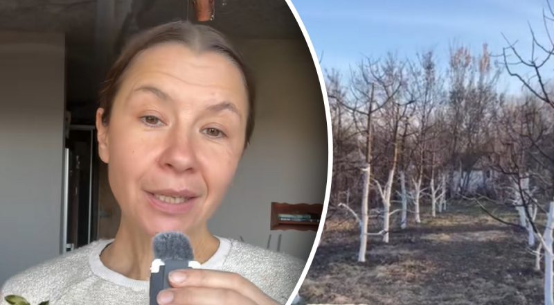 Причина, о которой знают единицы: зачем белить деревья осенью