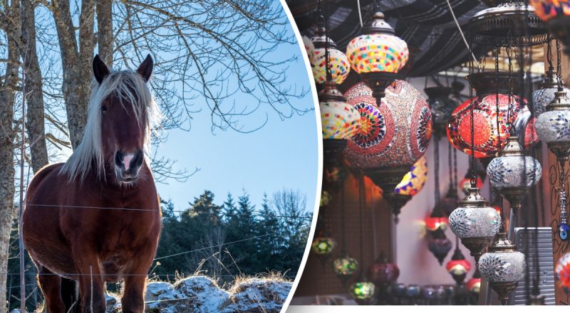 Рік Червоного Вогняного Коня - яким буде 2026 рік: астрологічний прогноз